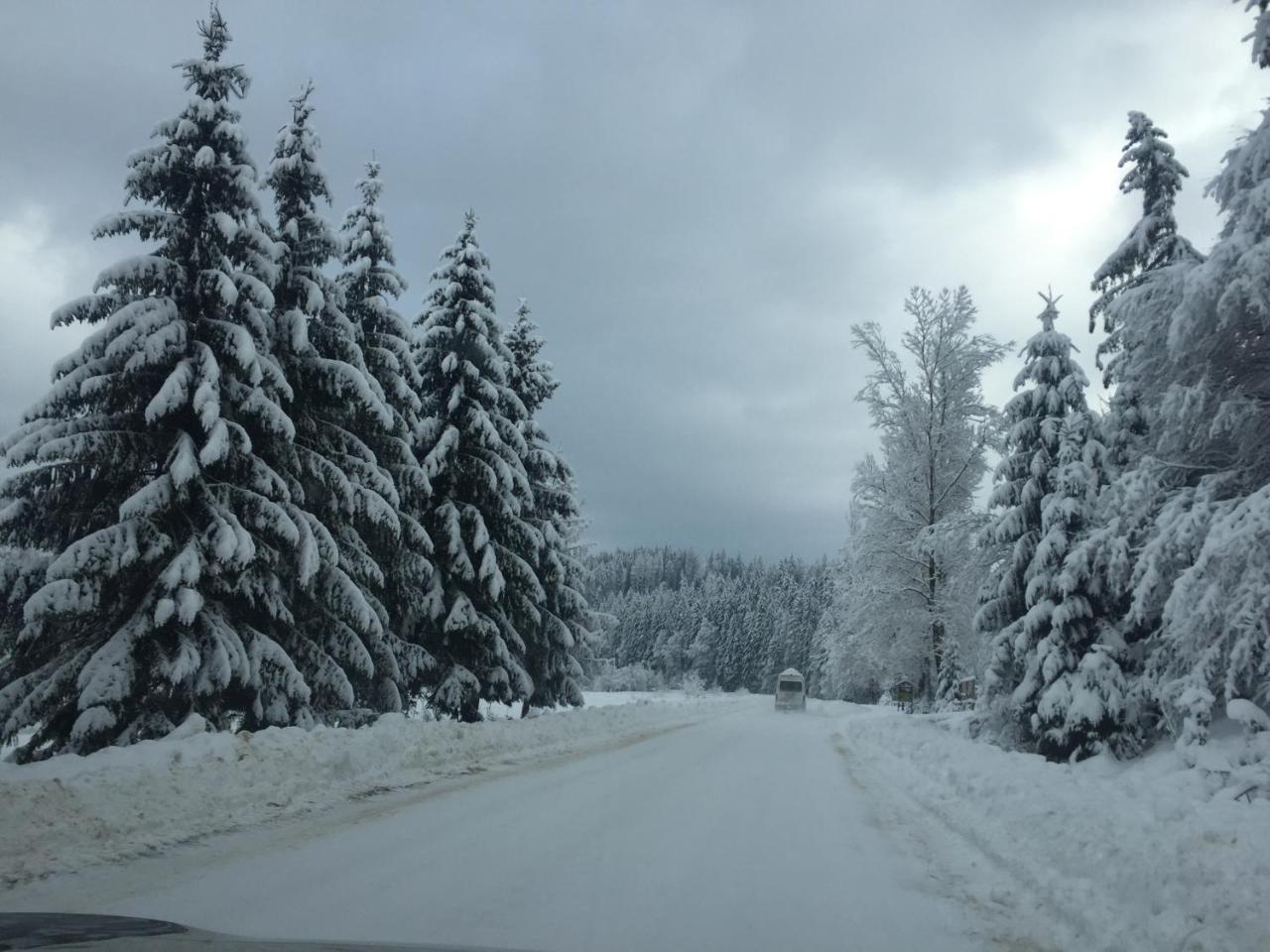 Котедж Смерекова Хата- Пилипець Kelechin Esterno foto